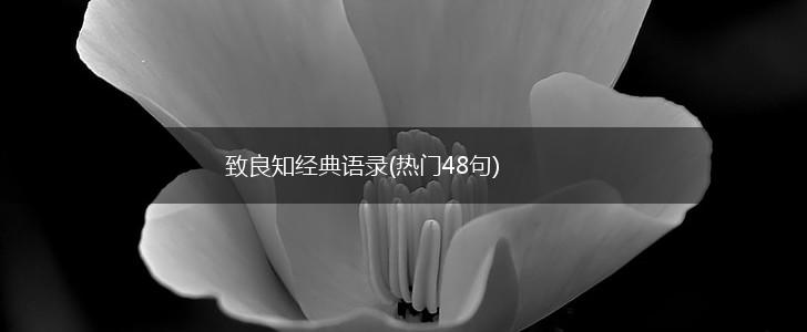 致良知经典语录(热门48句),第1张
