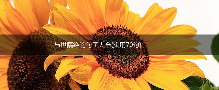 与世隔绝的句子大全(实用70句),第1张