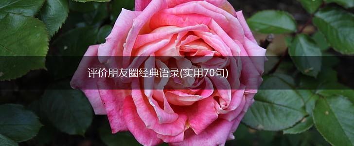 评价朋友圈经典语录(实用70句),第1张