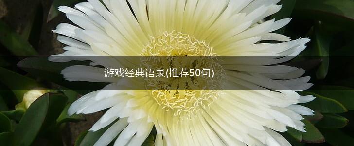 游戏经典语录(推荐50句),第1张