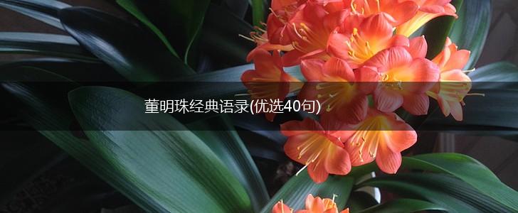 董明珠经典语录(优选40句),第1张