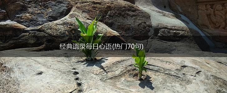 经典语录每日心语(热门70句),第1张