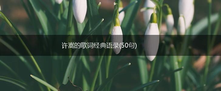 许嵩的歌词经典语录(50句),第1张