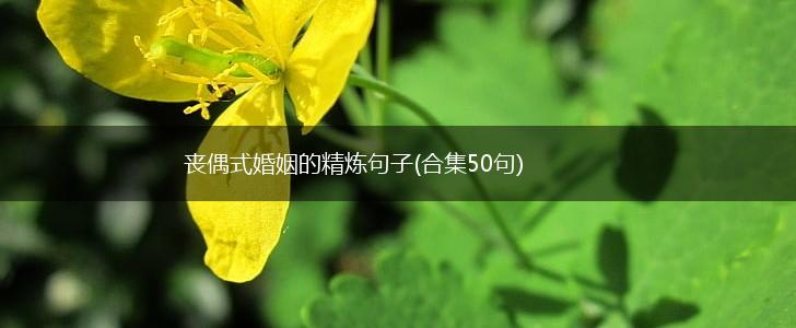 丧偶式婚姻的精炼句子(合集50句),第1张