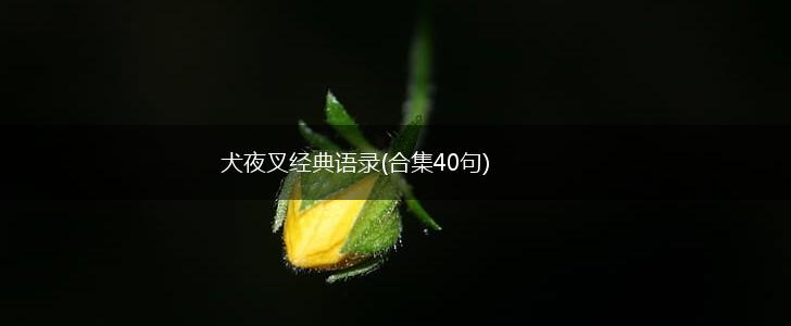 犬夜叉经典语录(合集40句),第1张
