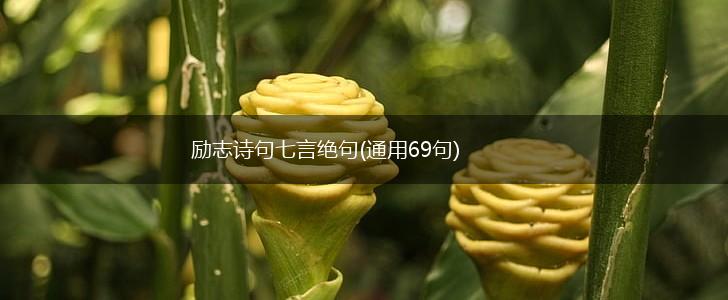 励志诗句七言绝句(通用69句),第1张
