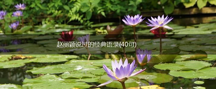 赵丽颖说过的经典语录(40句),第1张