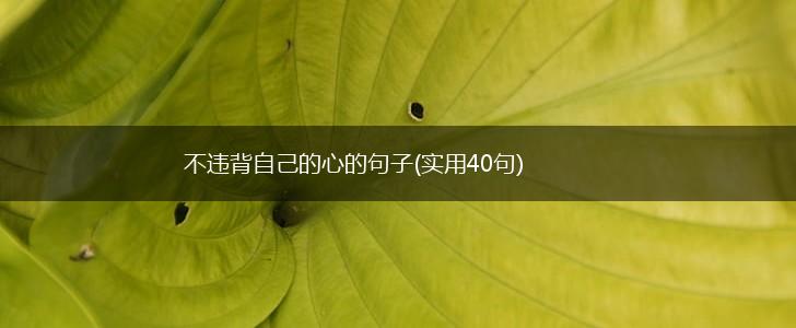 不违背自己的心的句子(实用40句),第1张