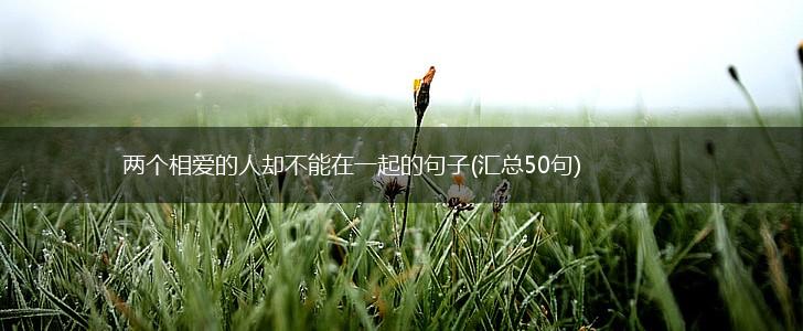 两个相爱的人却不能在一起的句子(汇总50句),第1张