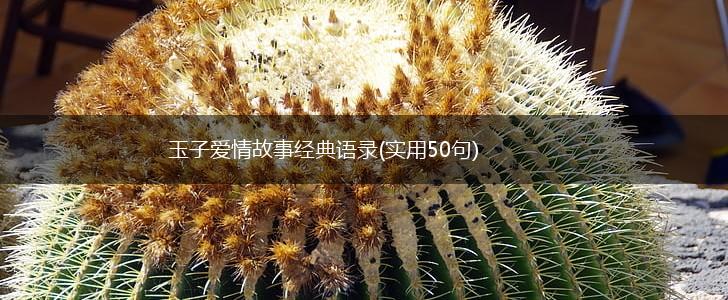 玉子爱情故事经典语录(实用50句),第1张