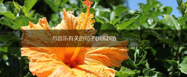与音乐有关的句子(共62句),第1张