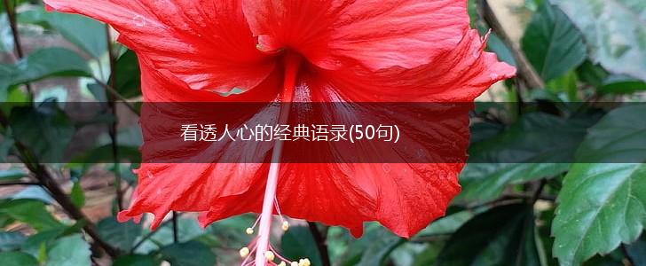 看透人心的经典语录(50句),第1张