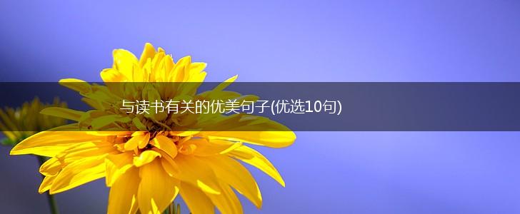 与读书有关的优美句子(优选10句),第1张