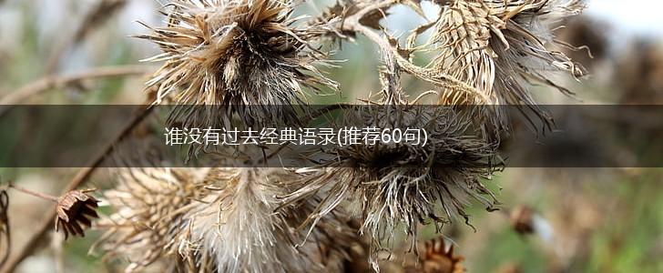 谁没有过去经典语录(推荐60句),第1张