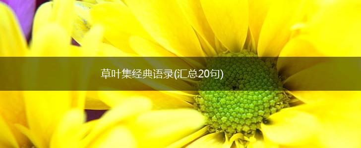 草叶集经典语录(汇总20句),第1张