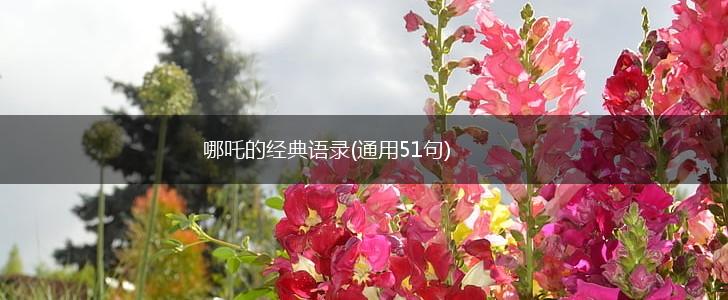 哪吒的经典语录(通用51句),第1张