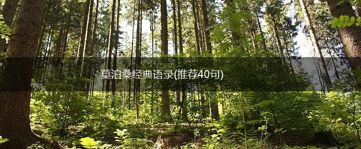 莫泊桑经典语录(推荐40句),第1张 莫泊桑经典语录(推荐40句),第1张