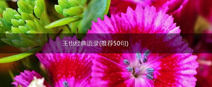 王也经典语录(推荐50句),第1张