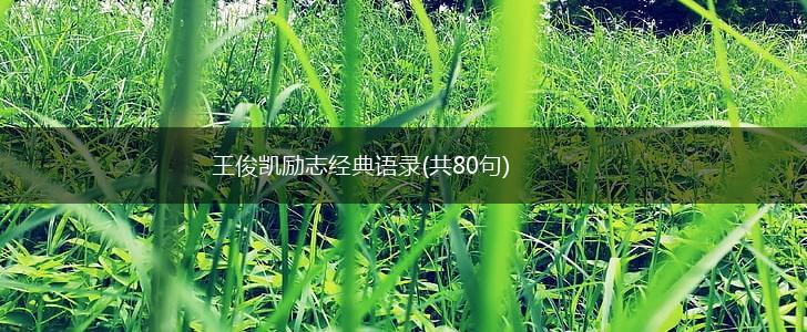 王俊凯励志经典语录(共80句),第1张