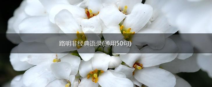 路明非经典语录(通用50句),第1张