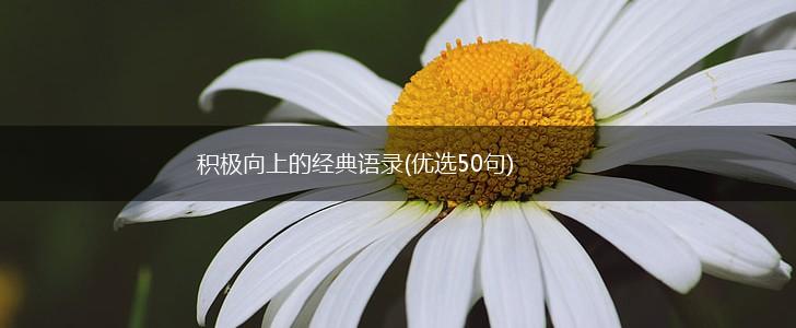 积极向上的经典语录(优选50句),第1张