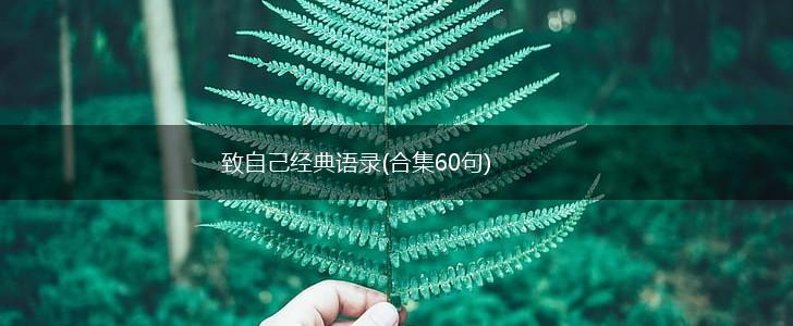 致自己经典语录(合集60句),第1张