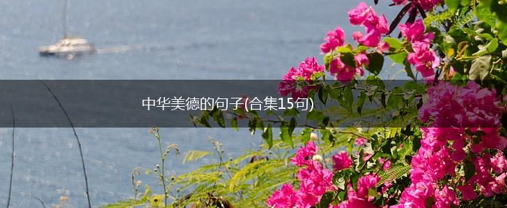 中华美德的句子(合集15句),第1张