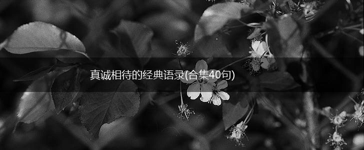 真诚相待的经典语录(合集40句),第1张