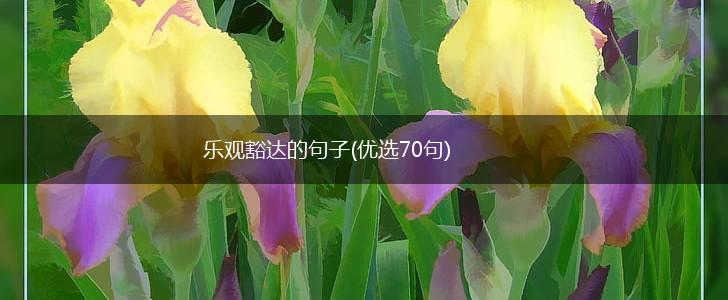 乐观豁达的句子(优选70句),第1张