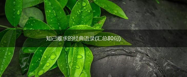 知己难求的经典语录(汇总80句),第1张