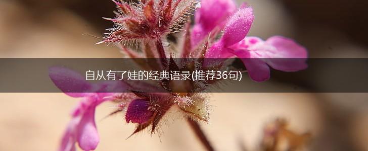 自从有了娃的经典语录(推荐36句),第1张