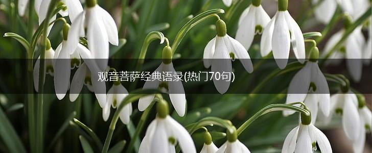 观音菩萨经典语录(热门70句),第1张