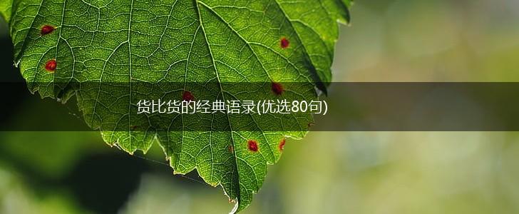 货比货的经典语录(优选80句),第1张