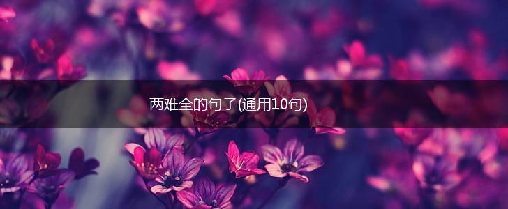 两难全的句子(通用10句),第1张
