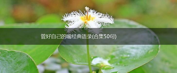 管好自己的嘴经典语录(合集50句),第1张