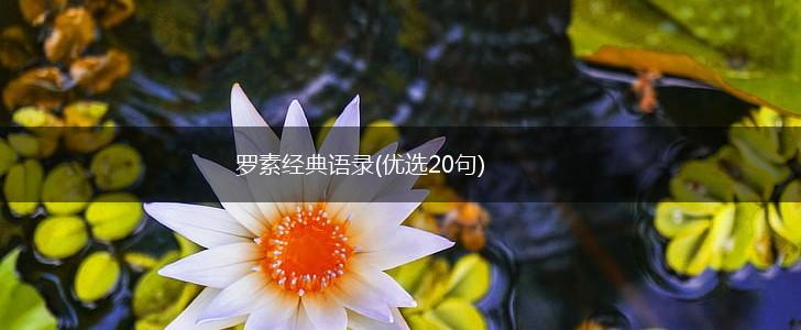 罗素经典语录(优选20句),第1张