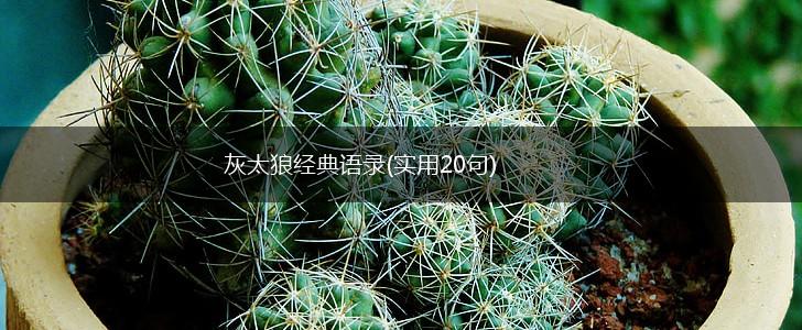 灰太狼经典语录(实用20句),第1张