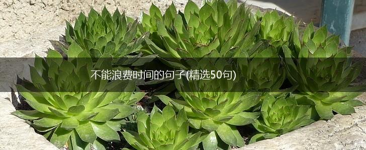 不能浪费时间的句子(精选50句),第1张