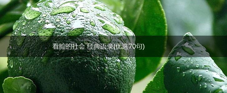 看脸的社会 经典语录(优选70句),第1张