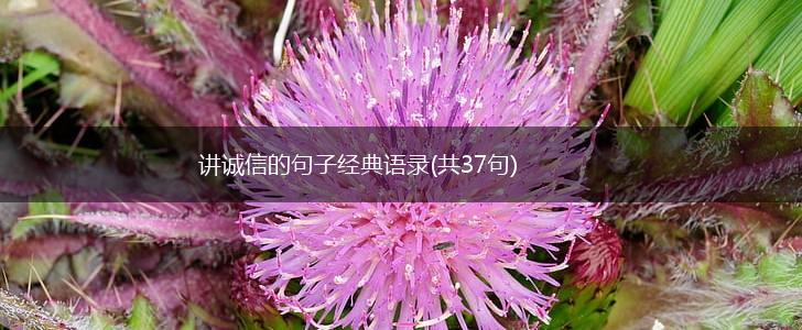 讲诚信的句子经典语录(共37句),第1张