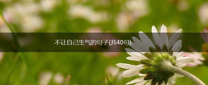 不让自己生气的句子(共40句),第1张