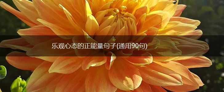 乐观心态的正能量句子(通用90句),第1张