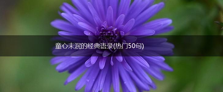 童心未泯的经典语录(热门50句),第1张