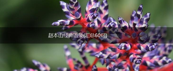 赵本山经典语录(汇总60句),第1张