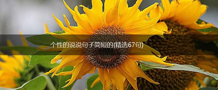 个性的说说句子简短的(精选67句),第1张