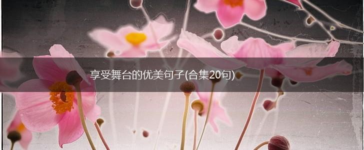 享受舞台的优美句子(合集20句),第1张
