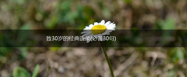 致30岁的经典语录(必备30句),第1张 致30岁的经典语录(必备30句),第1张