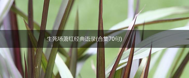 生死场萧红经典语录(合集70句),第1张