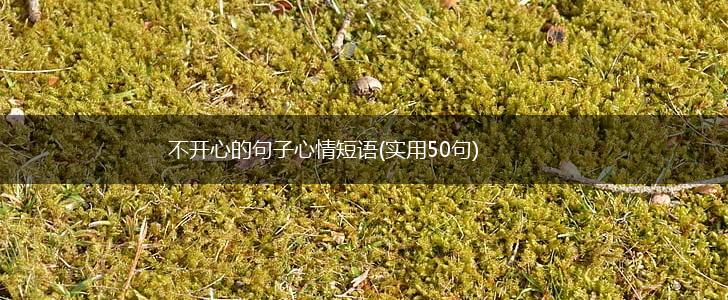 不开心的句子心情短语(实用50句),第1张