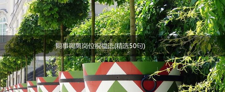 同事调离岗位祝福语(精选50句),第1张